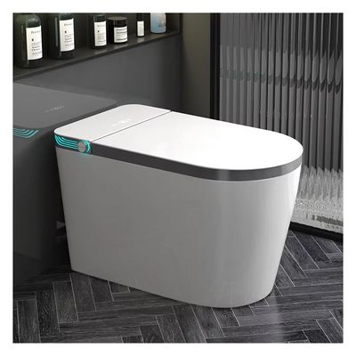 Ceramic Bowl Bathroom Smart Bidet Toilet Intelligent Automatic Sanitary Ware Items