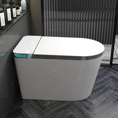 Energy Saving Bathroom Smart Toilet Custom Size With Intelligent Cleaning System
