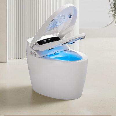 110V/220V Ceramic Fully Automatic European Style Smart Bathroom Sensor Automatic Flush