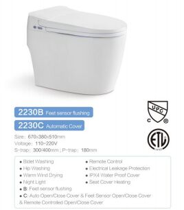 Smart Toilet with Less Than 40 DB Noise Level, Remote Control And Side Panel, and Heated Seat With Soft Close for Ultimate Comfort