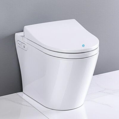 Smart Home Toilet with Less Than 40 DB Noise Level, Automatic Self-cleaning Nozzle, and Remote Control and Side Panel
