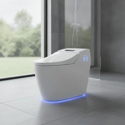 Automatic Self-cleaning Nozzle Bathroom Smart Toilet Floor Mounted Installation Type Night Light Additional For Cleaning